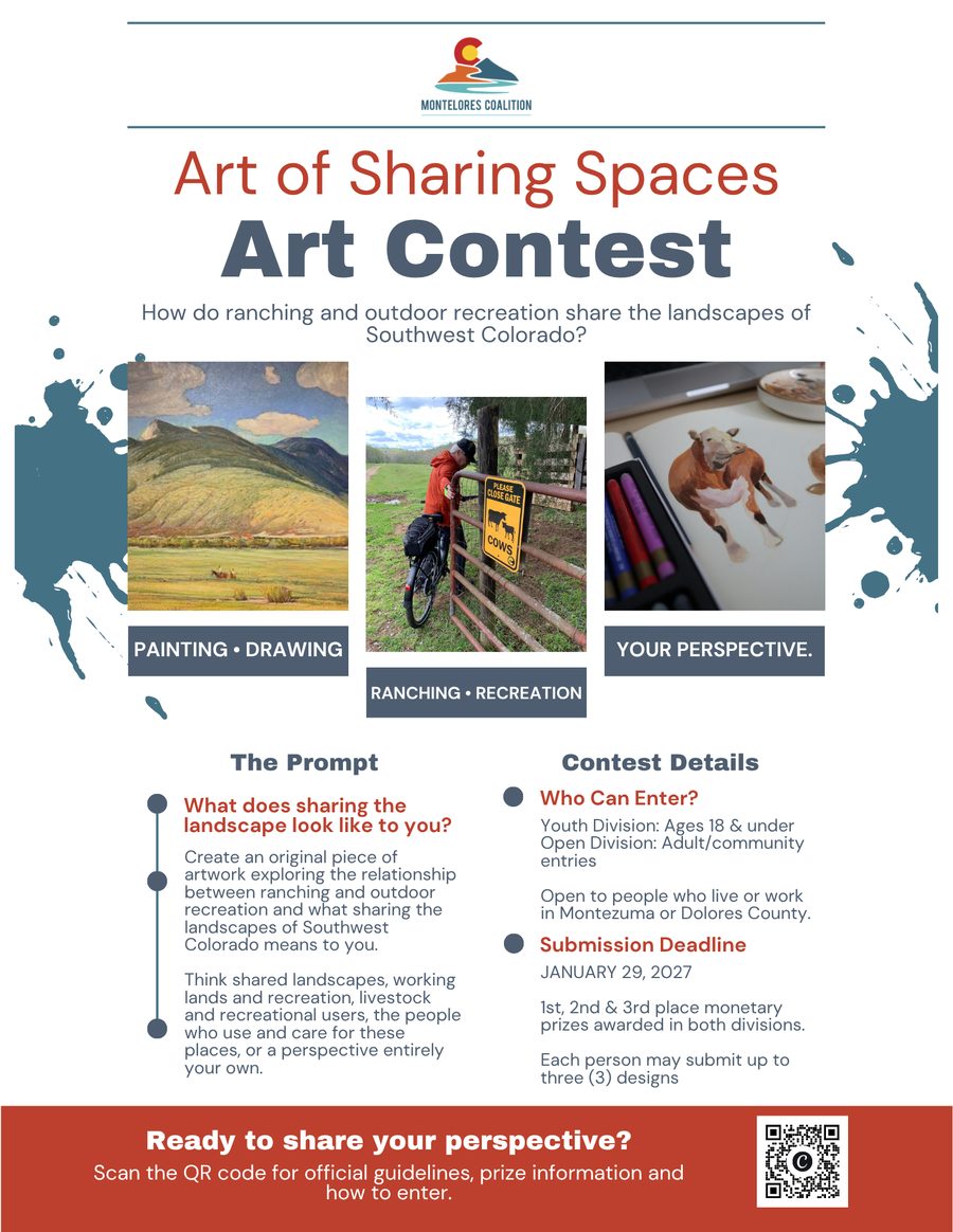 The Art of Sharing Spaces Art Contest flyer, listing the prompt, the Youth and Open divisions, the January 29, 2027, deadline and prize information.